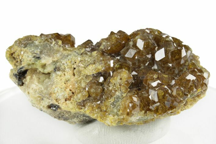 Yellow Andradite-Grossular Garnet Cluster with Clinochlore - Mali #245207